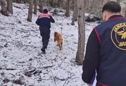 Ormanda bulunan kafatası ve kemik parçaları 2 kadına ait çıktı; 10 yıllık çifte cinayet aydınlatıldı