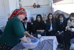 Deniz çayırı tohumları kuraklığa umut oldu