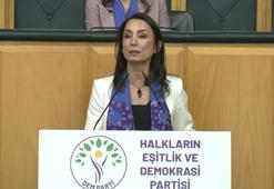 DEM Parti'li Hatimoğulları: AİHM ve AYM kararları uygulanmalı