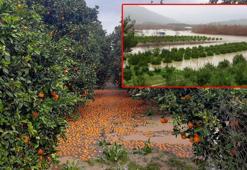 Aşırı hava olayları normalleşti; 1 yıl kuraklık, 1 yıl sel