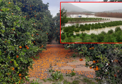 Aşırı hava olayları normalleşti; 1 yıl kuraklık, 1 yıl sel