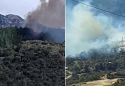 Osmaniye'de orman yangını