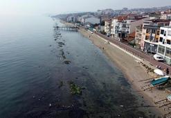 Tekirdağ'da deniz 7 metre çekildi; 'Kral Yolu' ortaya çıktı