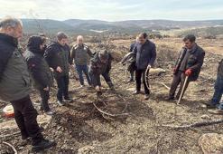Yangında 10 şehidin verildiği ormanda yeniden ağaçlandırma çalışması başlatıldı