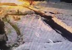 Köpeklerine saldıran kurtları kürekle kovaladı