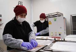 Sanayide kadın gücü; hem üretiyorlar hem de aile ekonomisine katkı sağlıyor