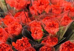 '8 Mart'ta kırmızı karanfil yoğun talep görüyor'