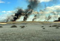 Sultan Sazlığı Milli Parkı'nda yangın