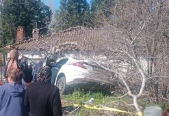 Aydın'da otomobil ağaçlara çarptı: 2 ölü, 1 yaralı
