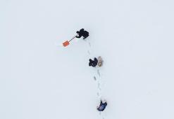 10 yıldır 'Allah'ın misafiri' dedikleri kuşları yemliyorlar