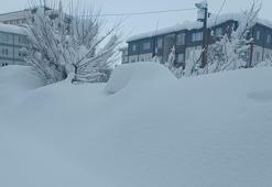 Bitlis'te kar durdu, temizlik çalışması başladı