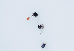 10 yıldır 'Allah'ın misafiri' dedikleri kuşları yemliyorlar