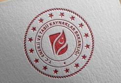 982 yerleşim yerine doğal gaz ulaştırıldı