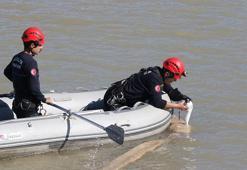 Ayağına misina dolanan martıyı itfaiye eri kurtardı