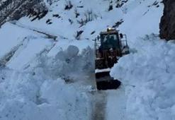 Bitlis'te köy yoluna çığ düştü