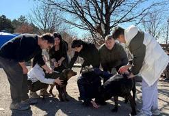 İşitme engelli öğrencilerden, engelli köpekler için kampanya