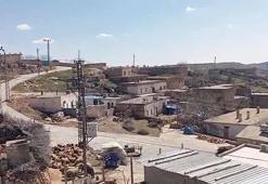 İnekteki kuduz şüphesi nedeniyle mahalle karantinaya alındı