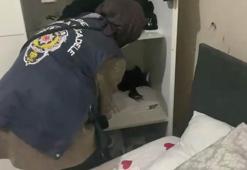 Kocaeli merkezli 7 ilde dolandırıcılık operasyonu: 23 gözaltı