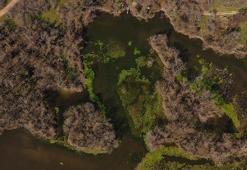 Türkiye’nin 3’üncü büyük longozu yeniden su ile doldu