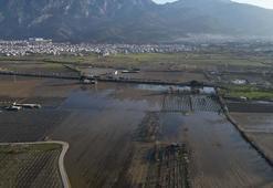 Manisa'da taşkın sonrası su içinde kalan Gediz Ovası normale döndü