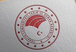 Taklit-tağşiş gıdalar listesine 64 yeni ürün eklendi