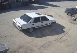 Köpeğin üzerinden otomobiliyle geçip, sürükleyen sürücüye adli kontrol