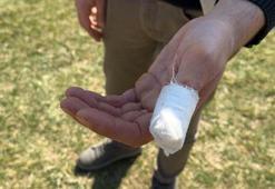 Parkta köpeği Şans ile gezerken başıboş pitbullun saldırısına uğradı