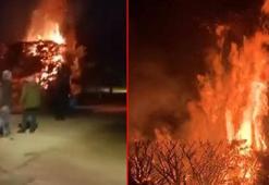 Parkta çıkan yangında ağaç zarar gördü