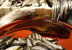 Bayram öncesi balık tezgahlarında çeşit bolluğu