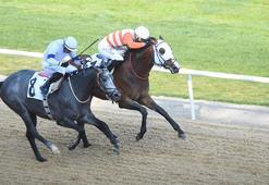 İzmir'de 64'üncü Hipodrom.com Ege Derbisi'nin kazananı The Protecter