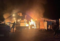 Kanatlı ve küçükbaş hayvan çiftliğinde yangın: 580 hayvan öldü