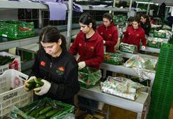 İran savaşı sonrası Türkiye'den Rusya'ya sebze ihracatı arttı