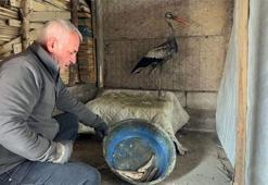 Donmak üzereyken bulduğu leyleği, 2,5 aylık bakım sonrası doğaya bıraktı