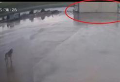 TIR’ın otomobilin üzerine devrildiği kaza kamerada; 2 yaralı