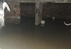 Bingöl’de sağanak su baskınlarına neden oldu; ahırda mahsur kalan keçiler kurtarıldı