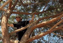 Avcılar’da çıktığı ağaçta mahsur kaldı; itfaiye merdiveniyle kurtarıldı
