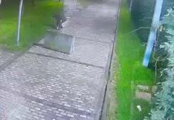 Beyoğlu’nda yerdeki cep telefonunu önce ayağıyla itti; sonra cebine koyup uzaklaştı