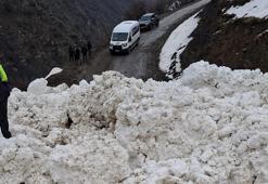 Çatak’ta çığ düştü; 1 mahalle ve 8 mezra ulaşıma kapandı