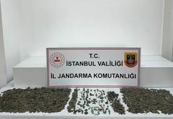 Sancaktepe'de düzenlenen operasyonda 8 bin 582 tarihi eser ele geçirildi