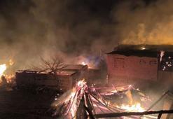 Bolu'daki yangında 4 ev ile 8 samanlık kullanılamaz hale geldi