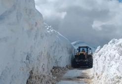 Bitlis’te çığ ve heyelan ulaşımı aksattı