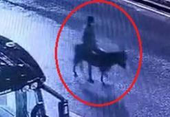 Kuyumcu dükkanından ziynet eşyası çalıp, eşekle kaçan sanığa 16 yıla kadar hapis istemi