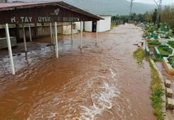 Hatay'da kuvvetli yağış günlük yaşamı etkileri: Çoban kuzuları son anda kurtardı