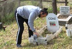 Türkiye'nin ilk evcil hayvan mezarlığına bayram ziyareti