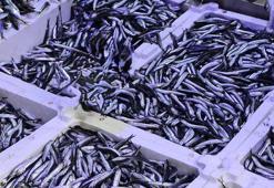 Ramazan ayı ve bayramda balık satışları düştü