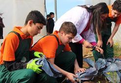 Çukurova’da geleceğin ziraatçileri tarım lisesinde yetişiyor