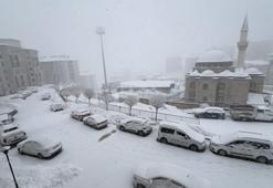 Yüksekova'da kar yağışı etkili oldu