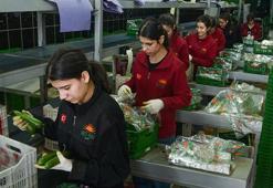 Türkiye'nin sebze tüketiminin yarısını karşılayan Antalya Hali'nden 64 ülkeye ihracat