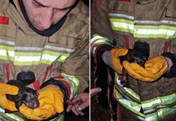 İtfaiye, yangında mahsur kalan yavru köpekleri kurtarmak için seferber oldu