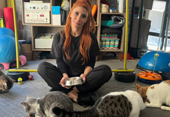 Fizik tedavi gören felçli 4 kedi için yuva arayışı